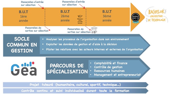 Socle commun - GEA